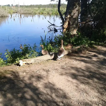 Kolonialny Olympic Park *