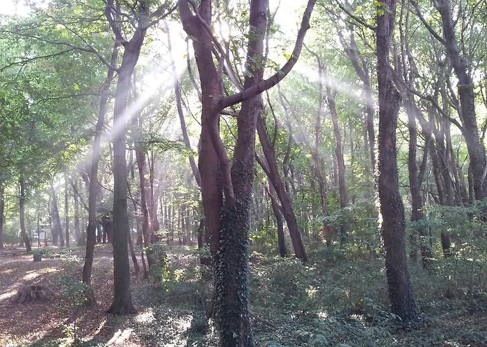 Kolonialny Olympic Park Apartment Kolobrzeg