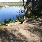 Kolonialny Olympic Park *
