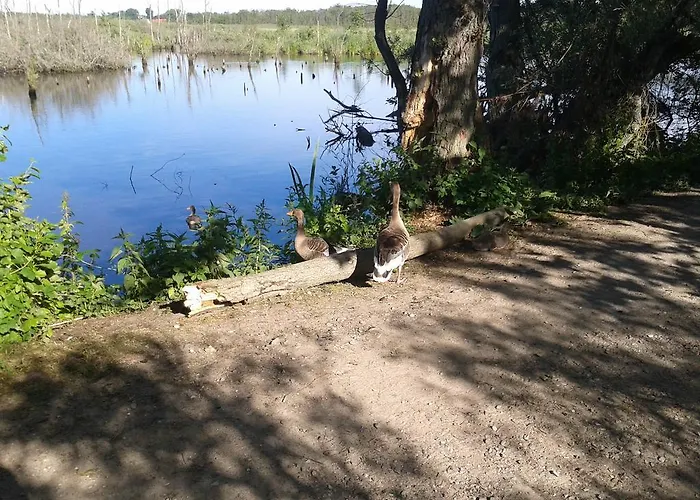 Kolonialny Olympic Park *